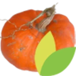 au potager android application logo